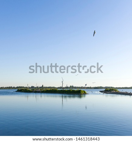 An amazing water landscape picture of a bird island with seagulls in Stevensweert, Limburg, The Netherlands