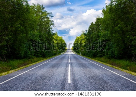 Straight road with a marking on the nature background. Open Road in future, no cars, auto on asphalt road through green forest, trees. Clouds on blue sky in summer, sunshine, sunny day. Royalty-Free Stock Photo #1461331190