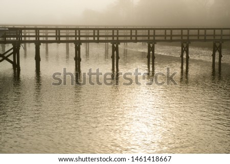 Beautiful tinted foggy picture of a private dock along the Kiawah River in South Carolina.