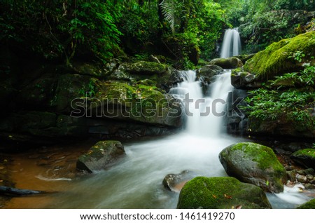 Waterfall in the green forest and green stone