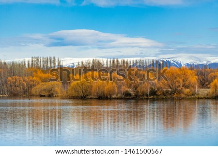 The trees change color to yellow-orange on the lake reflecting the water, the background is high mountains and blue skies with clouds. Is a beautiful nature in the countryside of New Zealand
