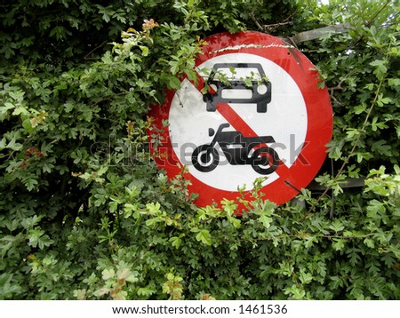 Road sign in hedge.