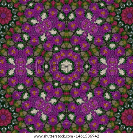 images of plant leaves and blooming flowers that are combined with a kaleidoscope effect that is similar to a spiral ornament