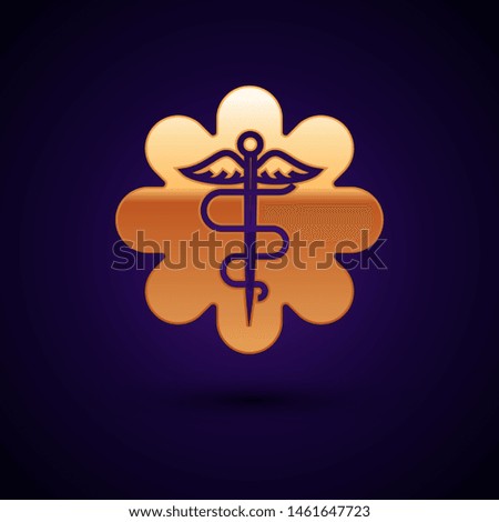 Gold Emergency star - medical symbol Caduceus snake with stick icon isolated on dark blue background. Star of Life.  Vector Illustration