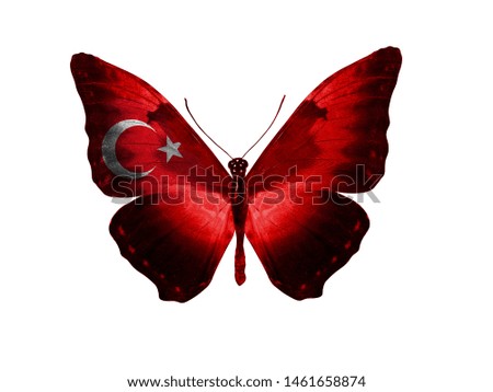 butterfly with turkey flag on wings, isolated on white background. starry striped flag. Turkey symbol