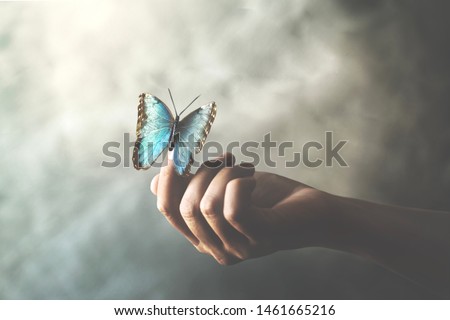 a butterfly leans on a woman's hand Royalty-Free Stock Photo #1461665216