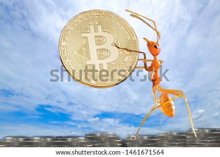 Ants hold digital coin money Royalty-Free Stock Photo #1461671564