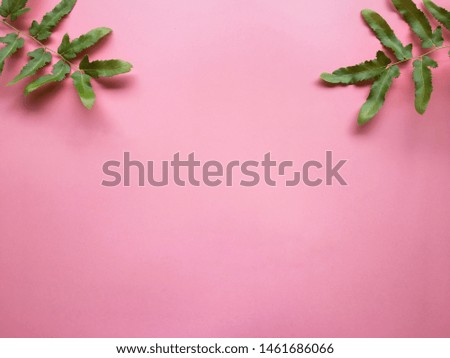Fresh green leaves on pink background.