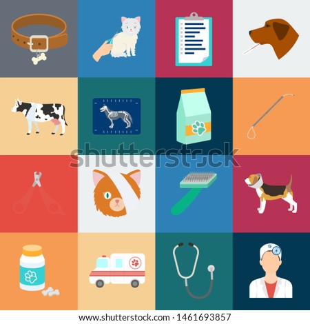 Veterinary clinic cartoon icons in set collection for design. Treatment of a pet bitmap symbol stock web illustration.