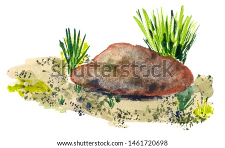 Green grasses and brown stone landscape composition made in watercolor, isolated.