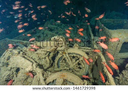 SS Thistlegorm ship wreck cargo level motorbike Royalty-Free Stock Photo #1461729398