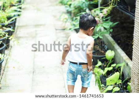 Asian boy 18 months walking in the garden alone There are trees on both sides, but the picture does not focus on the face of the child. Blurred image concept, Teach children to learn nature