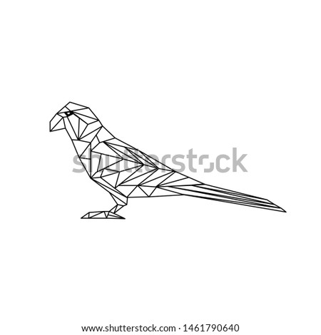 bird illustration geometry for design item