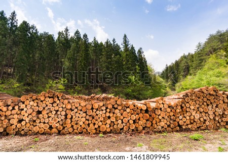 Logging site and yard in the forest Royalty-Free Stock Photo #1461809945