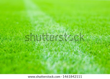 football stadium field cut green grass striped surface with whit