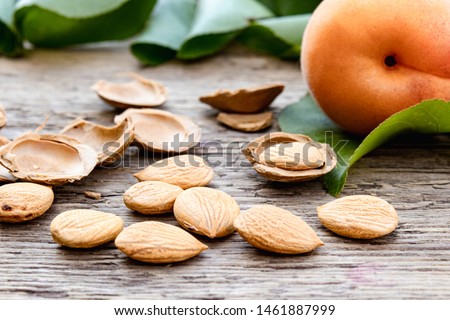 Apricots near pits and apricot pits on the background of old boards. Apricot pits for the manufacture of tablets and drugs. Close-up. Royalty-Free Stock Photo #1461887999