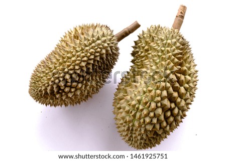 durian isolated,tropical fruit of fresh durian,durian on white background