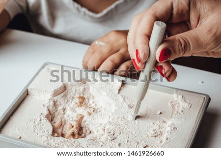 Archaeological excavations. hands closeup on a white background. Mammoth skeleton