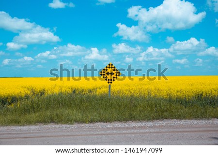 Both ways road sign in Canada, wih beautiful blossoming canola field in the background