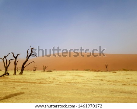 Sand dunes, Namibia desert, Africa 