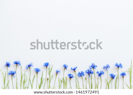 Summer design for blog with blue cornflowers on white background top view copyspace