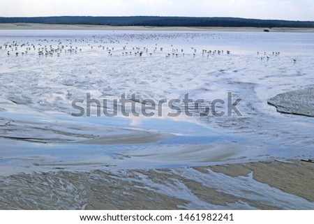Water flows over sand surface.
Abstract gray natural background. Day view close-up of the textured stream with sky reflections.
