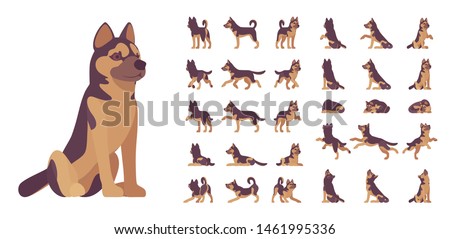 Shepherd dog set. Working breed, family pet, assistance, search service, rescue, police, and military help. Vector flat style cartoon illustration isolated, white background, different views, poses