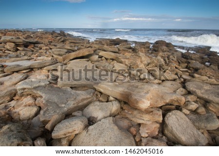 A rocky beach in Florida.