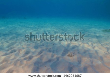 Sandy bottom and blue sea. Underwater photography from snorkeling, seabed in shallow tropical ocean. Sand, surface reflections and water.