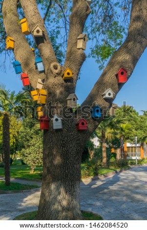 do not travel, stay at home family concept. a multicolored bird house located on a tree