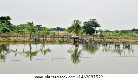 Water turbines help increase oxygen in the water. Shrimp farm in Bangkok, Thailand.