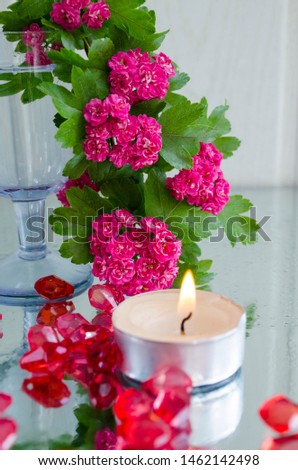 Beautiful pink flowers in a vase and a burning candle, red beads are scattered on the table. Vertical view