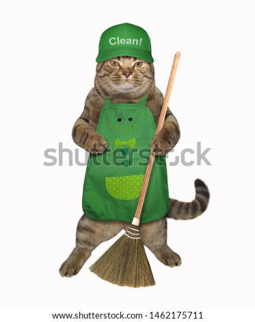The cat in a green  apron and a cap holds a sweeping broom. White background. Isolated.