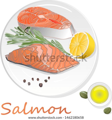 Raw salmon fillets with herbs on the plate. White background. Vector illustration.