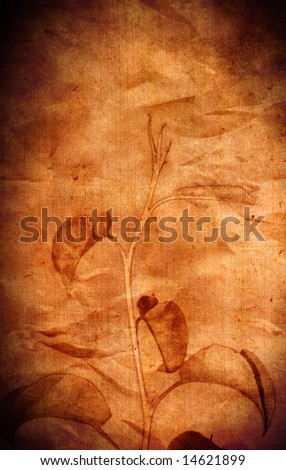 Grunge background with floral elements