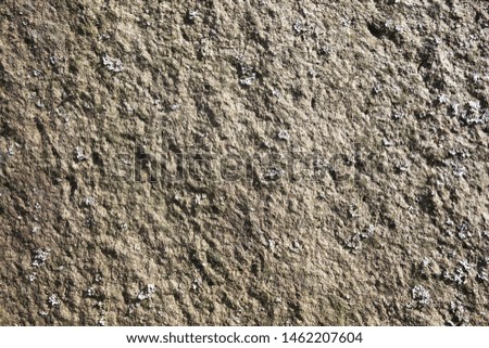Texture of wall on building