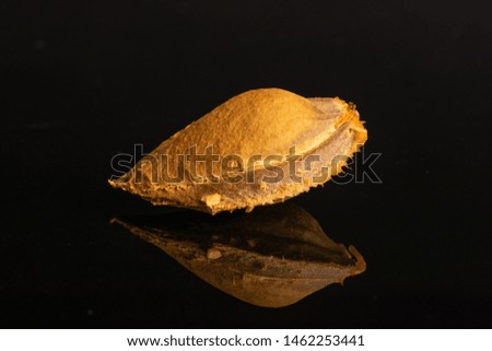 An apricot stone isolated on black glass