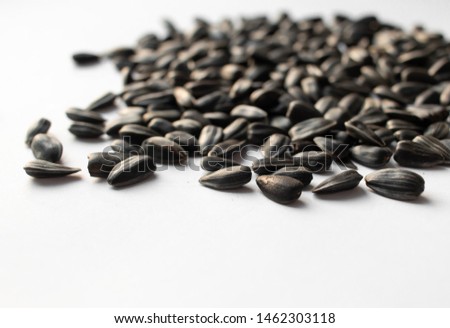Pile of sunflower seeds on white background