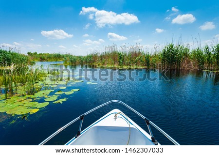 Beautiful water lilly and reed landscape in Danube Delta, Romania