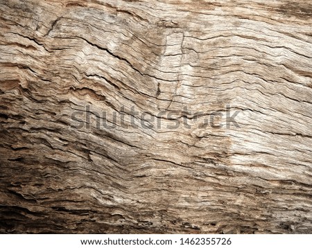 Old wooden floor for graphic design or wallpapers.Vintage beautiful background