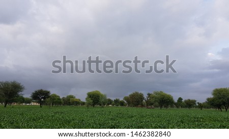 Before heavy rain storm. On the sky is covered all over by the clouds. The dark clouds is look like a big black smoke from erupting volcano. Green field landscape.