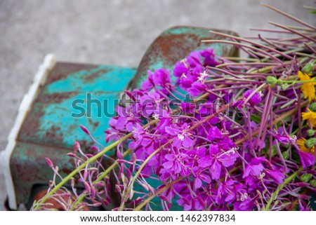 toy metal machine with traces of corrosion. Rust on the machine's gland. Flowers of fireweed by car.