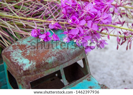 toy metal machine with traces of corrosion. Rust on the machine's gland. Flowers of fireweed by car.