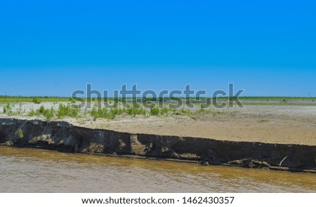 green plants on the bank of river indus Punjab,Pakistan,blue sky in background.
