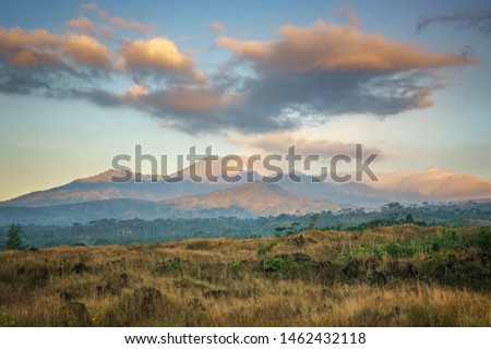 Bondowoso, East Java / Indonesia Savana Wurung Crater (Kawah Wurung) during the dry season, located in Curah Macan village, Bondowoo. Royalty-Free Stock Photo #1462432118