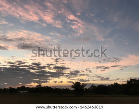 Trees with twilight sky background