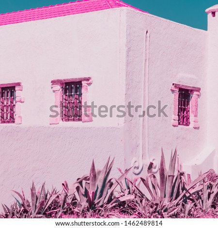Part of old house and plants. Bright and minimal. Infrared pink