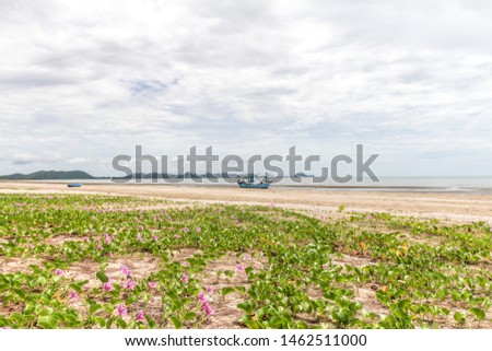 Amazing sandy beach covered with green vegetation and pink flowers with boat, sea and cloudy sky in the background, sam roi yod beach invaded and overgrown by green plants, thailand