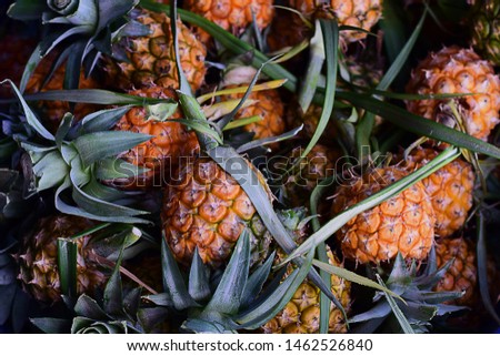 Yellow gold pineapple in the basket