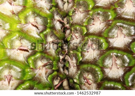 Pineapple (Ananas comosus) fruit texture background.
